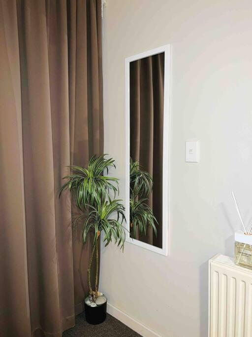 Cosy In City-up To 2 Beds Christchurch